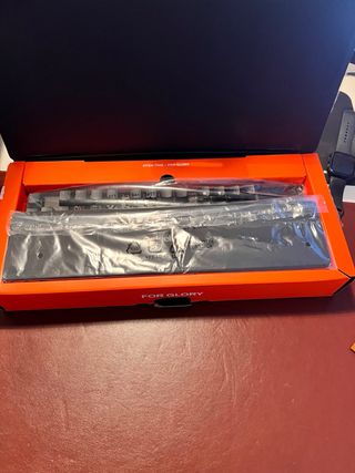 Kit Gaming: Monitor 240Hz + Apex Pro + Mouse