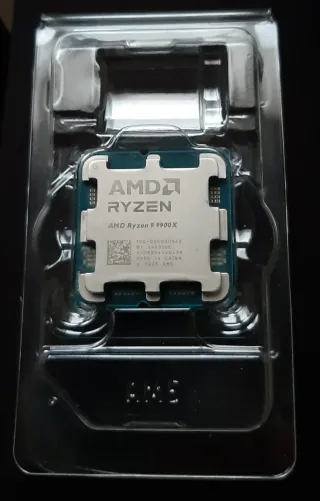 AMD Ryzen 9 9900X