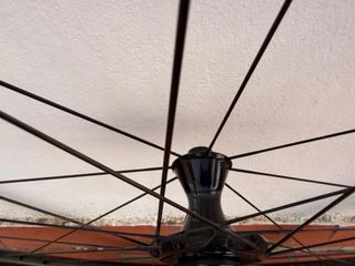 Ruedas Campagnolo Bora WTO 33