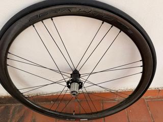 Ruedas Campagnolo Bora WTO 33