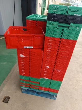 Cajas plegables IFCO LL4314)