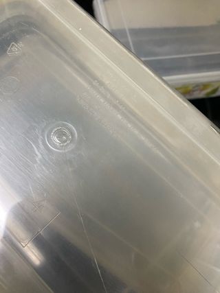 Set di 3 contenitori natalizi in plastica