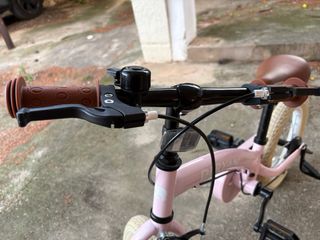 Bicicleta Deryan 3 en 1 Rosa 14