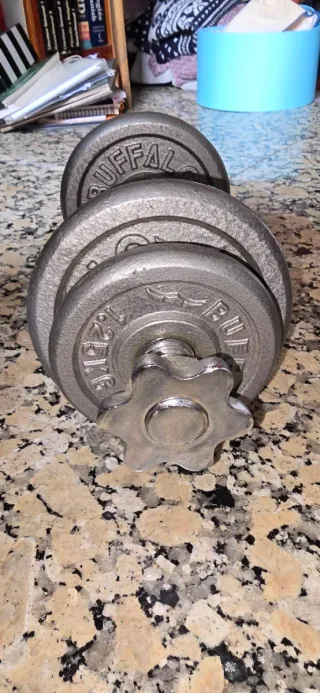 Mancuerna ajustable con discos