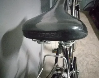 Bicicleta de paseo clásica