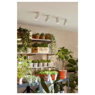 Lámpara Techo 4 Focos Blanca