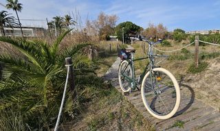 Bicicleta Urbana Clásica 28 Cuadro Alto