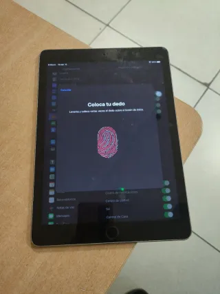 iPad Air 2 A1566 Plata