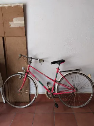 Bicicleta rosa GACELA BH Vintage
