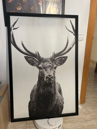 Cuadro Ciervo 78x118cm