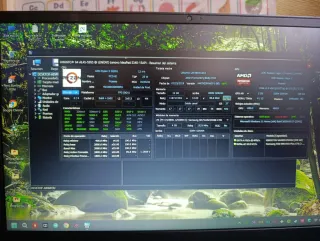 Portátil Lenovo Negro/Gris
