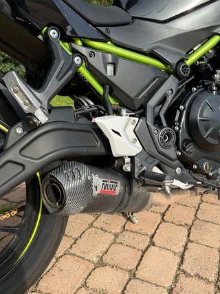 Kawasaki Z650 Negra y Verde