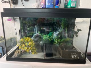 Acuario con fondo de cascada