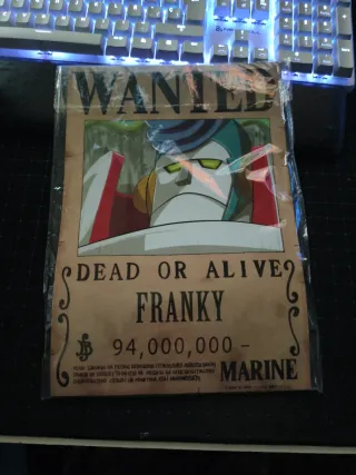 Póster Wanted One piece