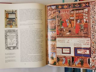 Historia Del Medicamento - Diego Gracia