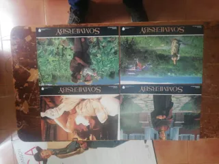 Carteles y fotocromos de películas.