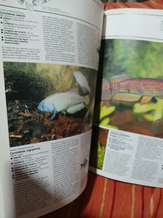 Peces de acuario.guia ilustrada