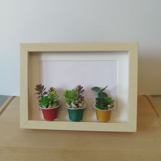 Cuadro Suculentas Artesanal 15x20 IKEA