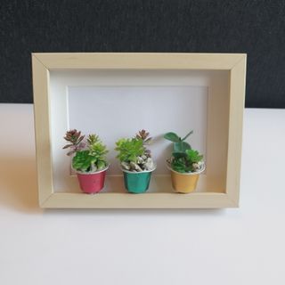 Cuadro Suculentas Artesanal 15x20 IKEA