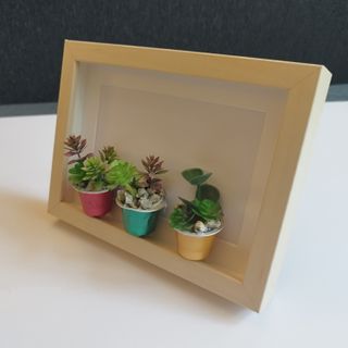 Cuadro Suculentas Artesanal 15x20 IKEA