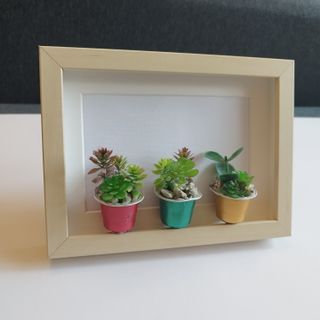Cuadro Suculentas Artesanal 15x20 IKEA
