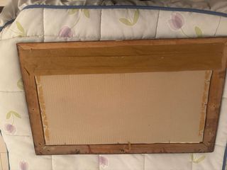 Cuadro decorativo paisaje acuático