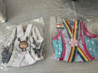 2 Braguitas/Pantalón fisiologico per cani piccoli