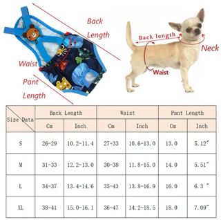 2 Braguitas/Pantalón fisiologico per cani piccoli