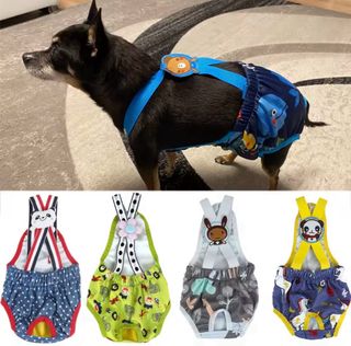 2 Braguitas/Pantalón fisiologico per cani piccoli