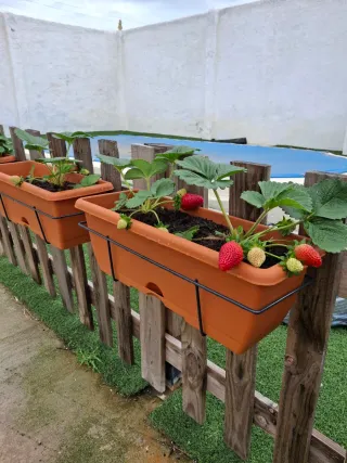 Busco ayuda para cuidado de persona mayor interna