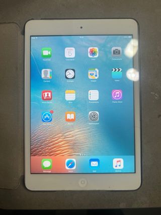 iPad Mini Argento 16gb