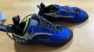 Pies de gato Boreal Joker