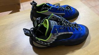 Pies de gato Boreal Joker