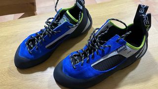 Pies de gato Boreal Joker