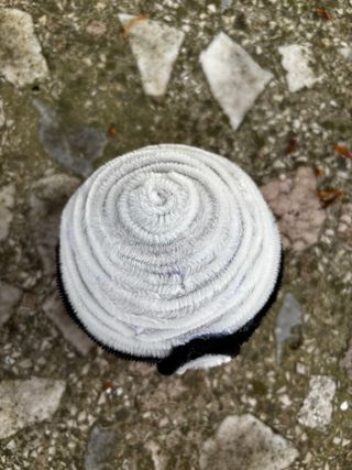 Poké Ball artigianale