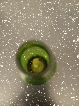 Lampada a olio verde da collezione