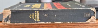 Libro E le stelle stanno a guardare 1935