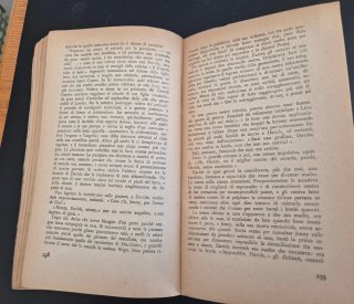 Libro E le stelle stanno a guardare 1935
