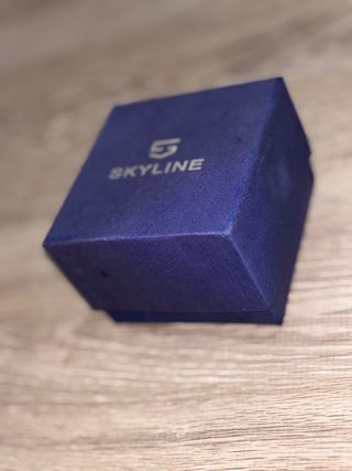 Reloj Skyline Dorado y Negro