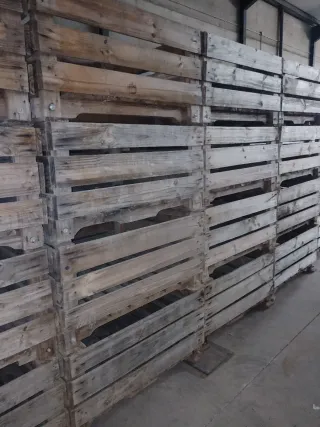 Palots BigBox Madera