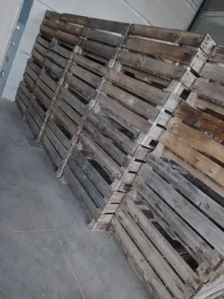 Palots BigBox Madera