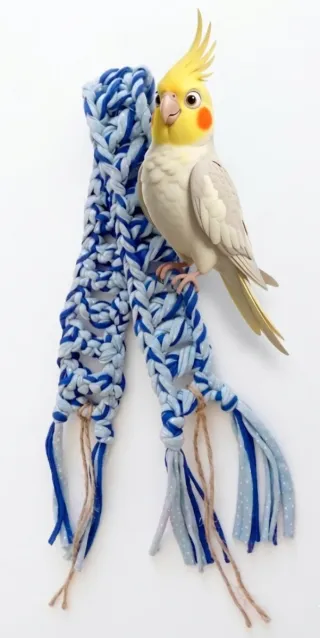 Pack para agapornis/pájaros/loros/periquitos