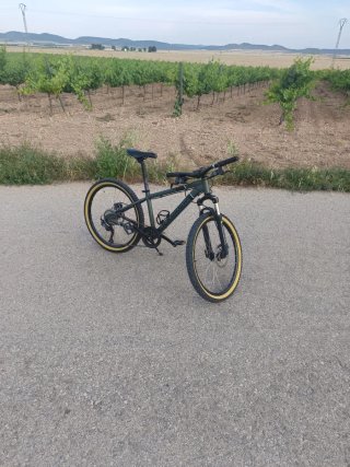 Bicicleta Montaña Rockrider Rueda 24