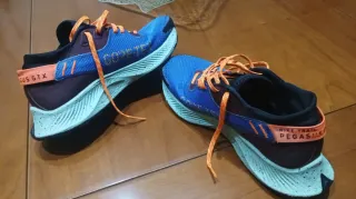 Zapatillas Nike Trail Pegasus GTX