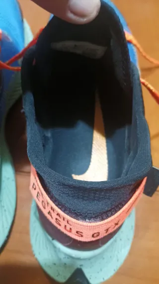 Zapatillas Nike Trail Pegasus GTX