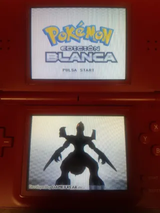 Pokemon Edición Blanca Nintendo DS