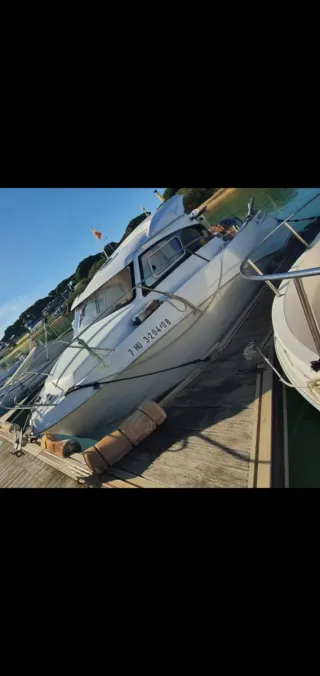 Barco Quicksilver + pantanal punta umbría