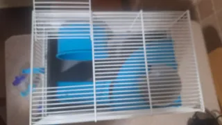Jaula para hámster con accesorios