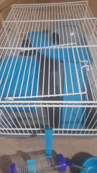 Jaula para hámster con accesorios