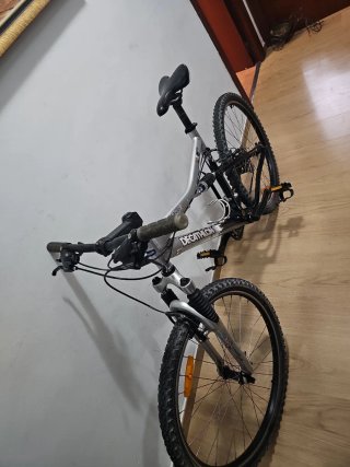 Bicicleta de Montaña